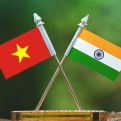 B2B webinar between Indian & Vietnamese T&A Companies 